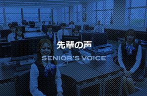 先輩の声